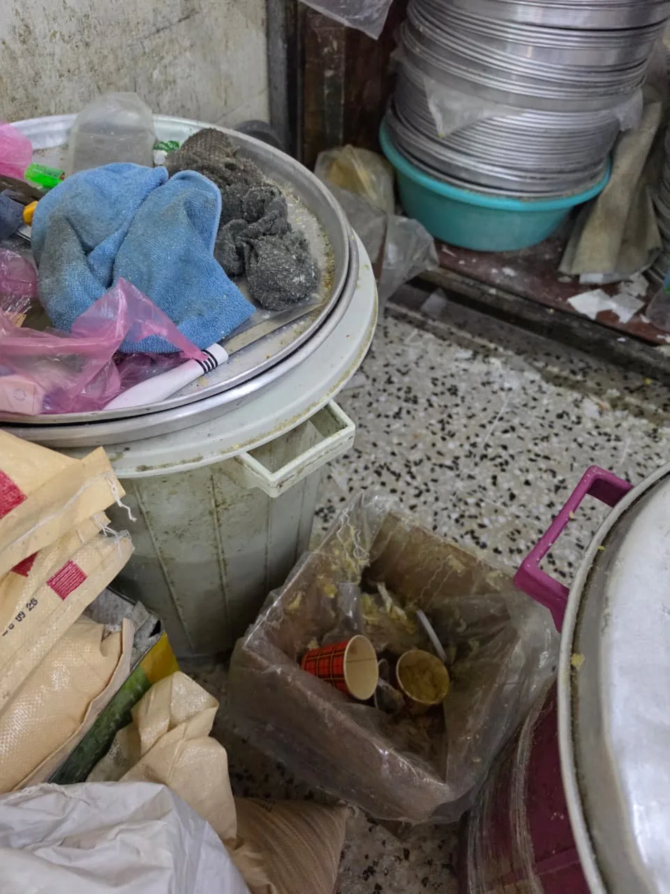 صورة من الألبوم