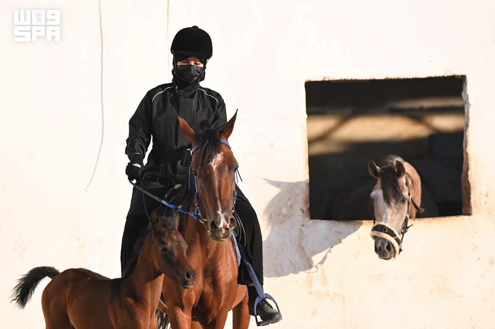 صورة من الألبوم