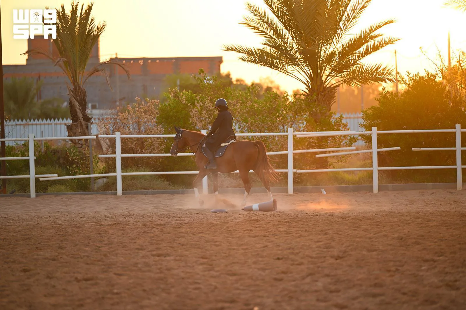 صورة من الألبوم