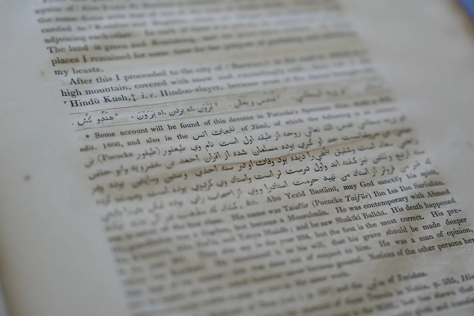 صورة من الألبوم