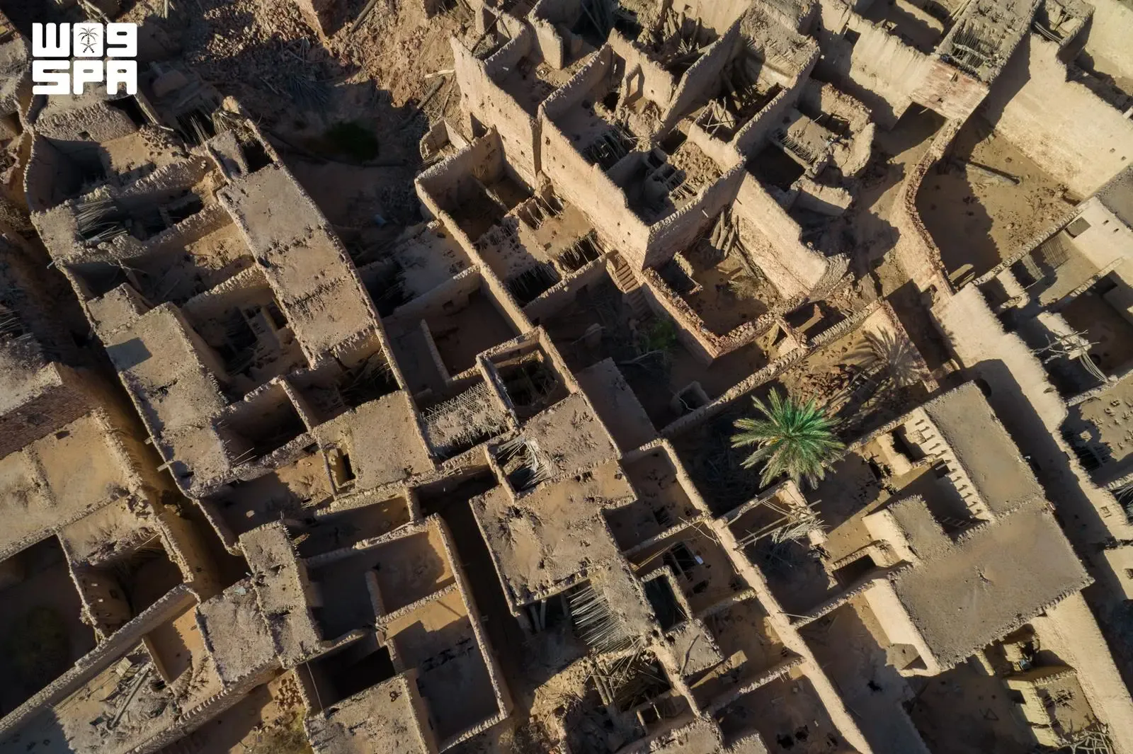 صورة من الألبوم