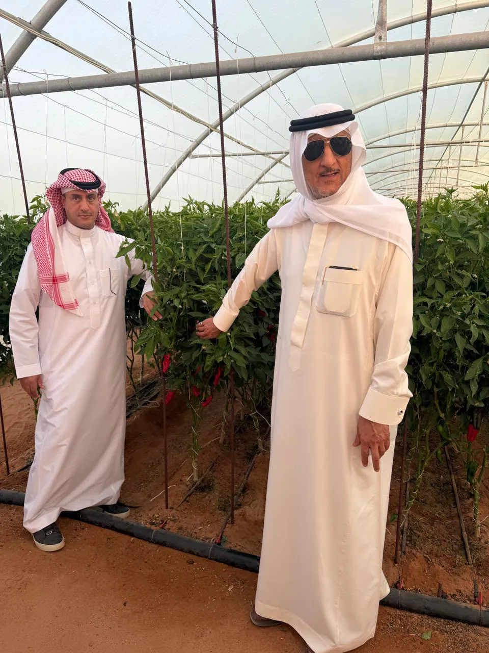 صورة من الألبوم