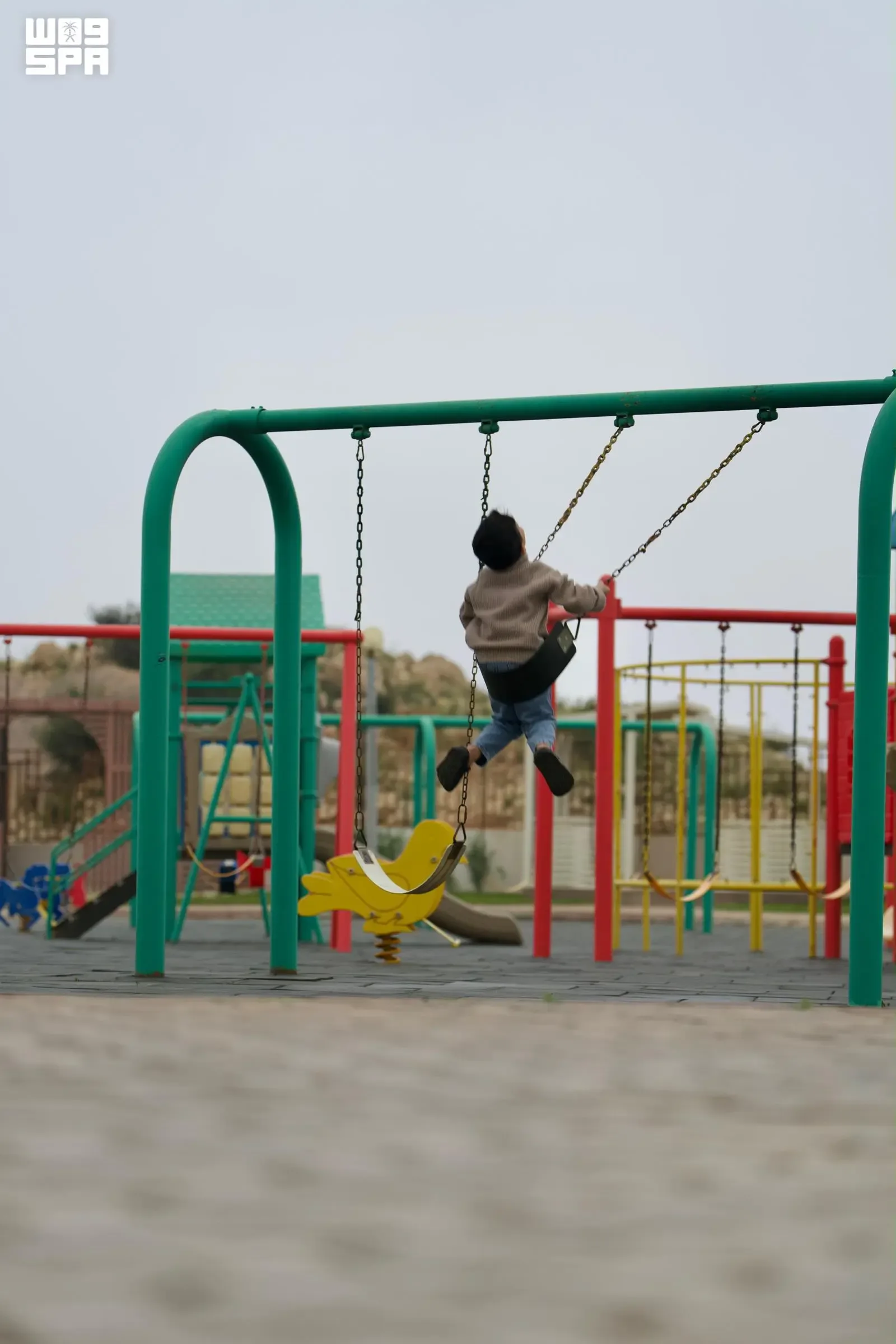 صورة من الألبوم