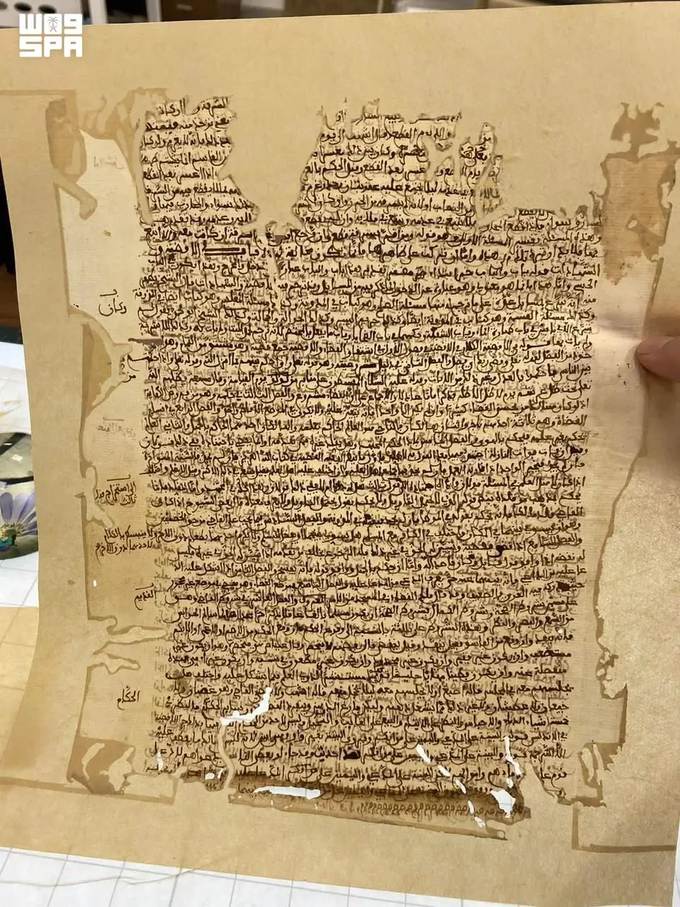 صورة من الألبوم