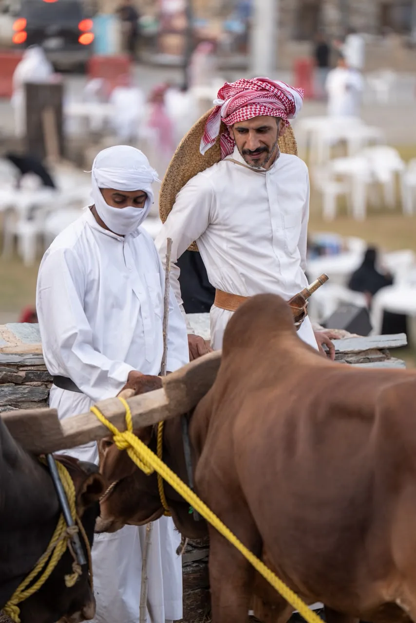 صورة من الألبوم