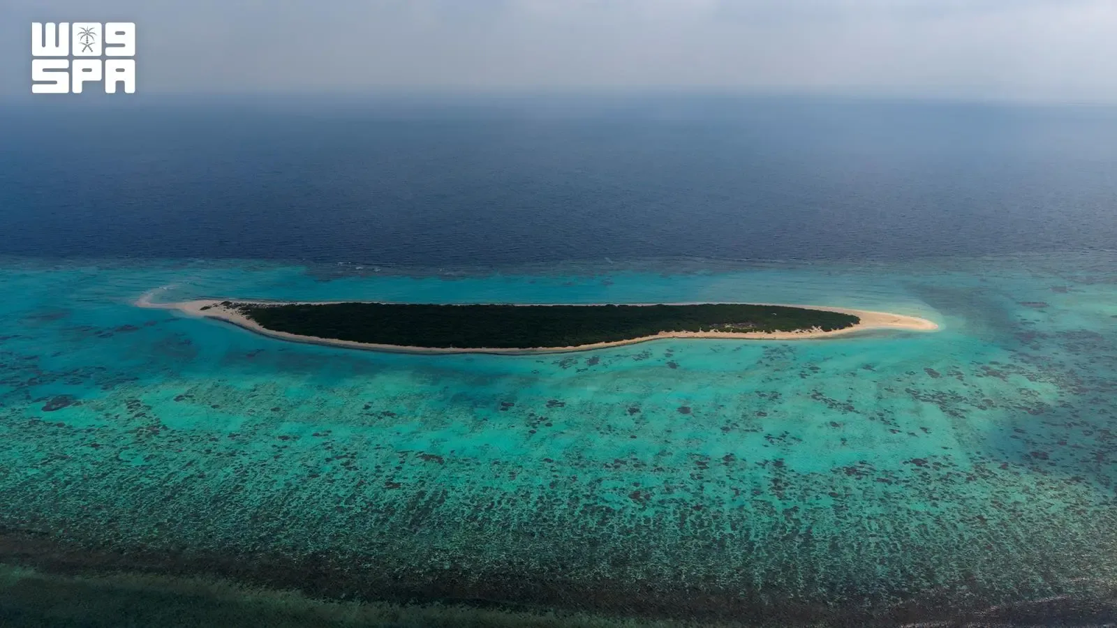 صورة من الألبوم