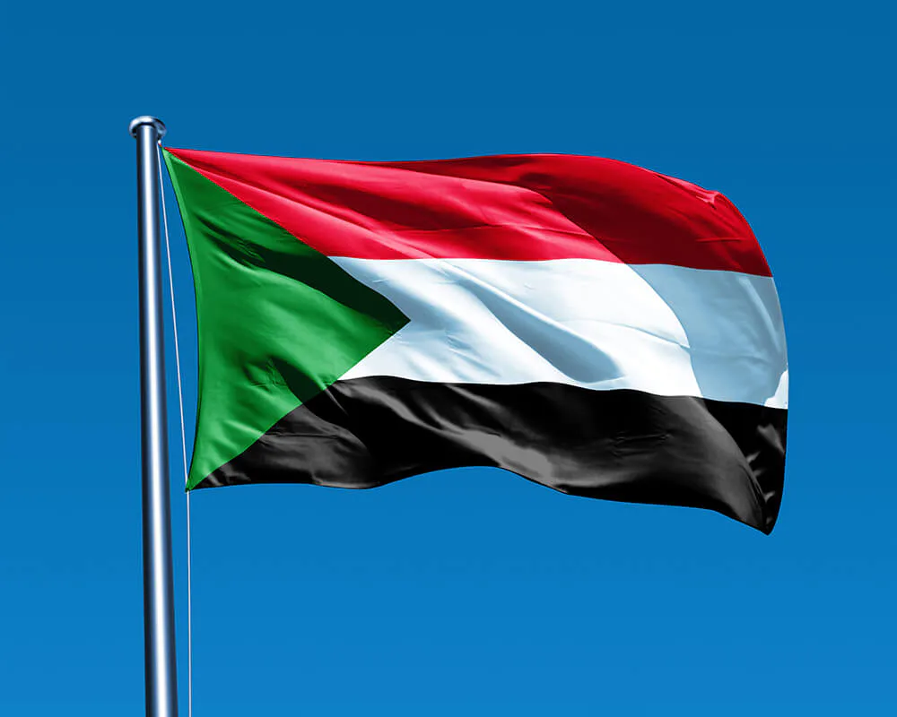 صورة الخبر