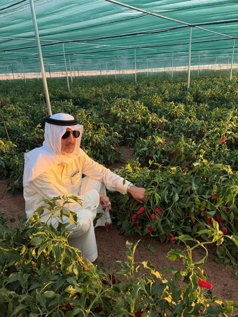 صورة من الألبوم