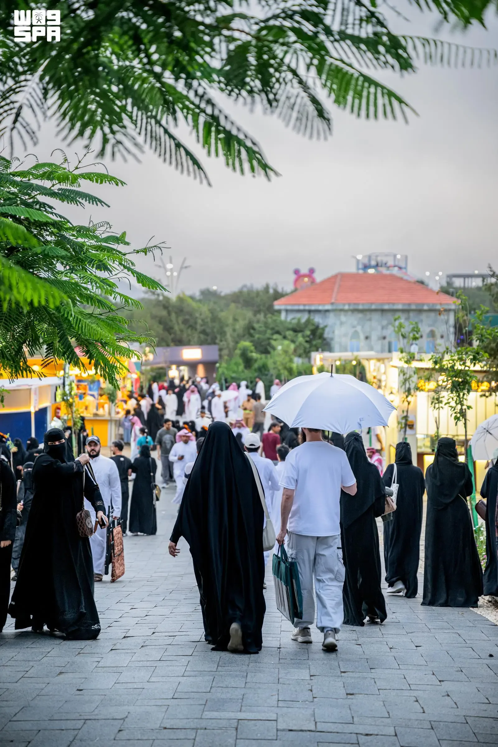 صورة من الألبوم