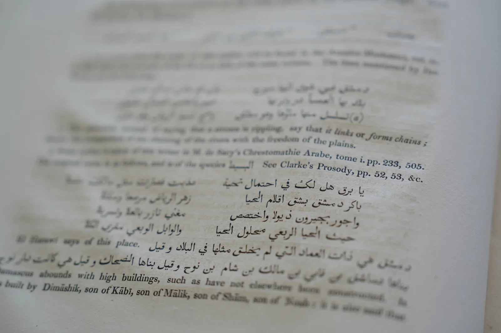 صورة من الألبوم