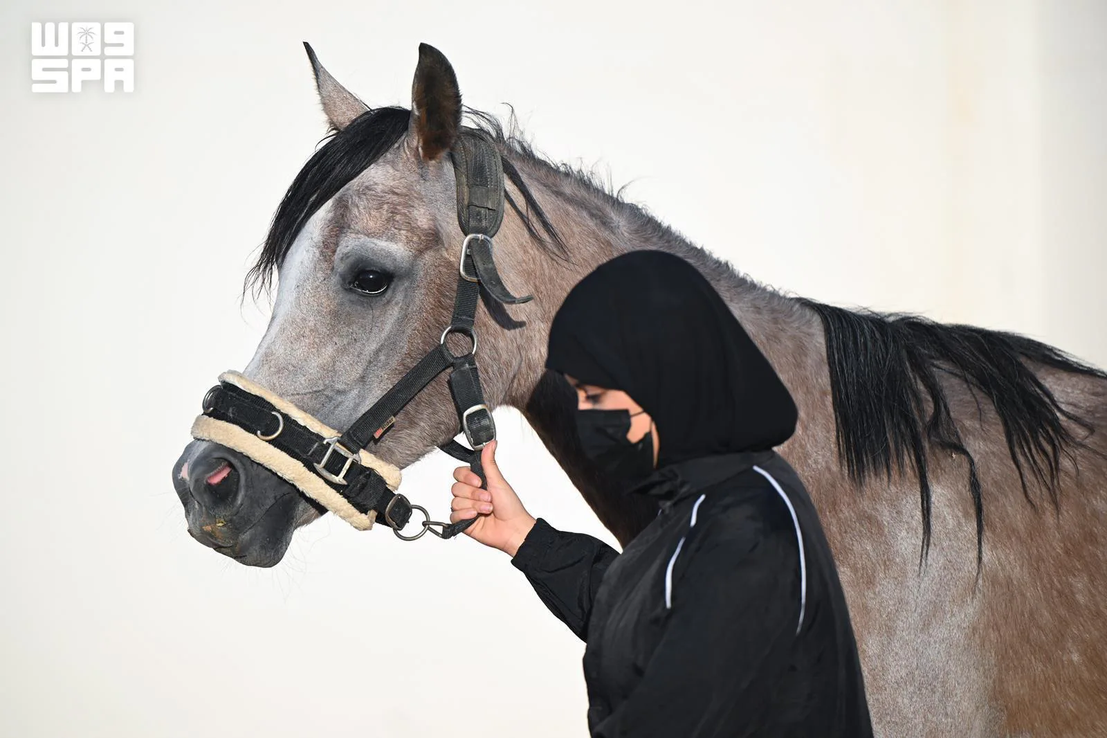 صورة من الألبوم