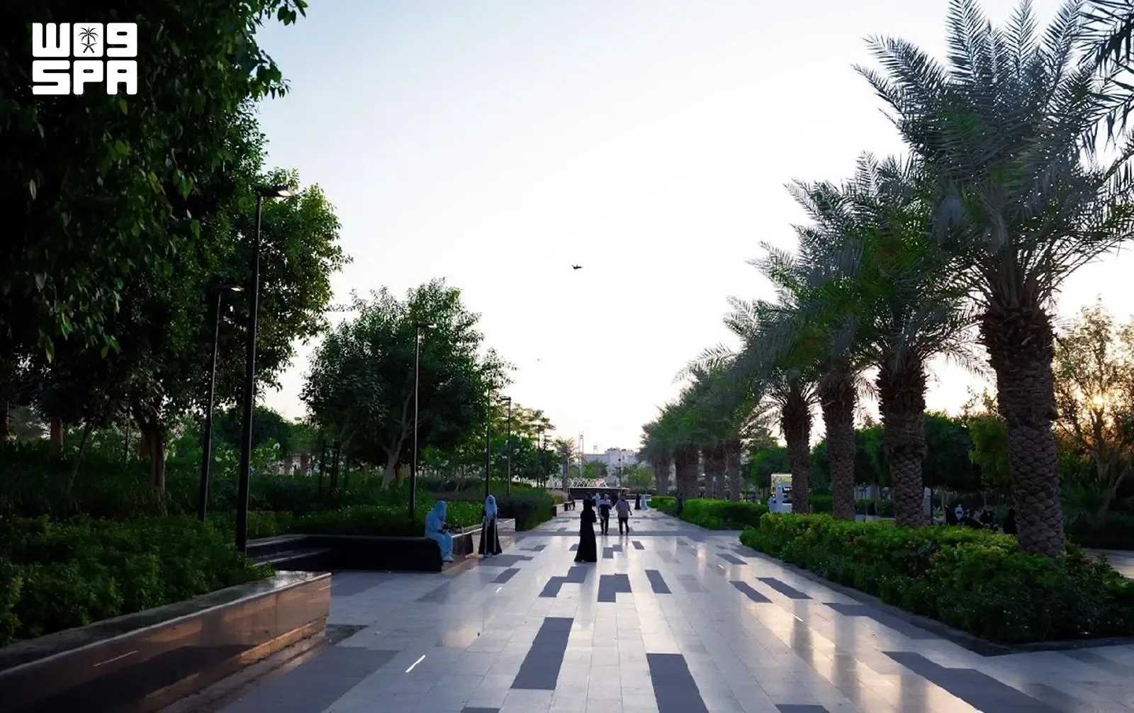صورة من الألبوم