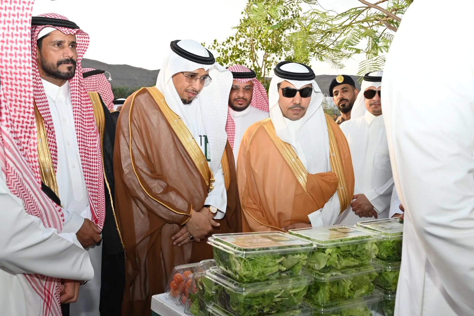 صورة من الألبوم