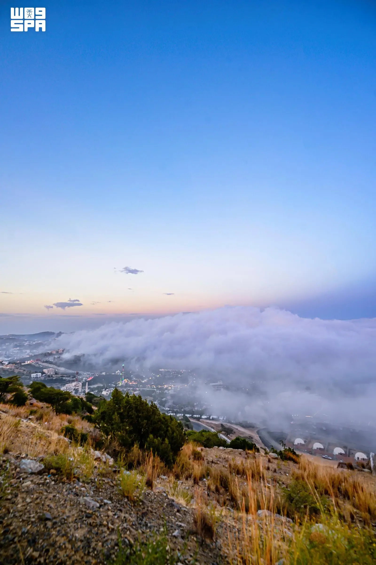 صورة من الألبوم