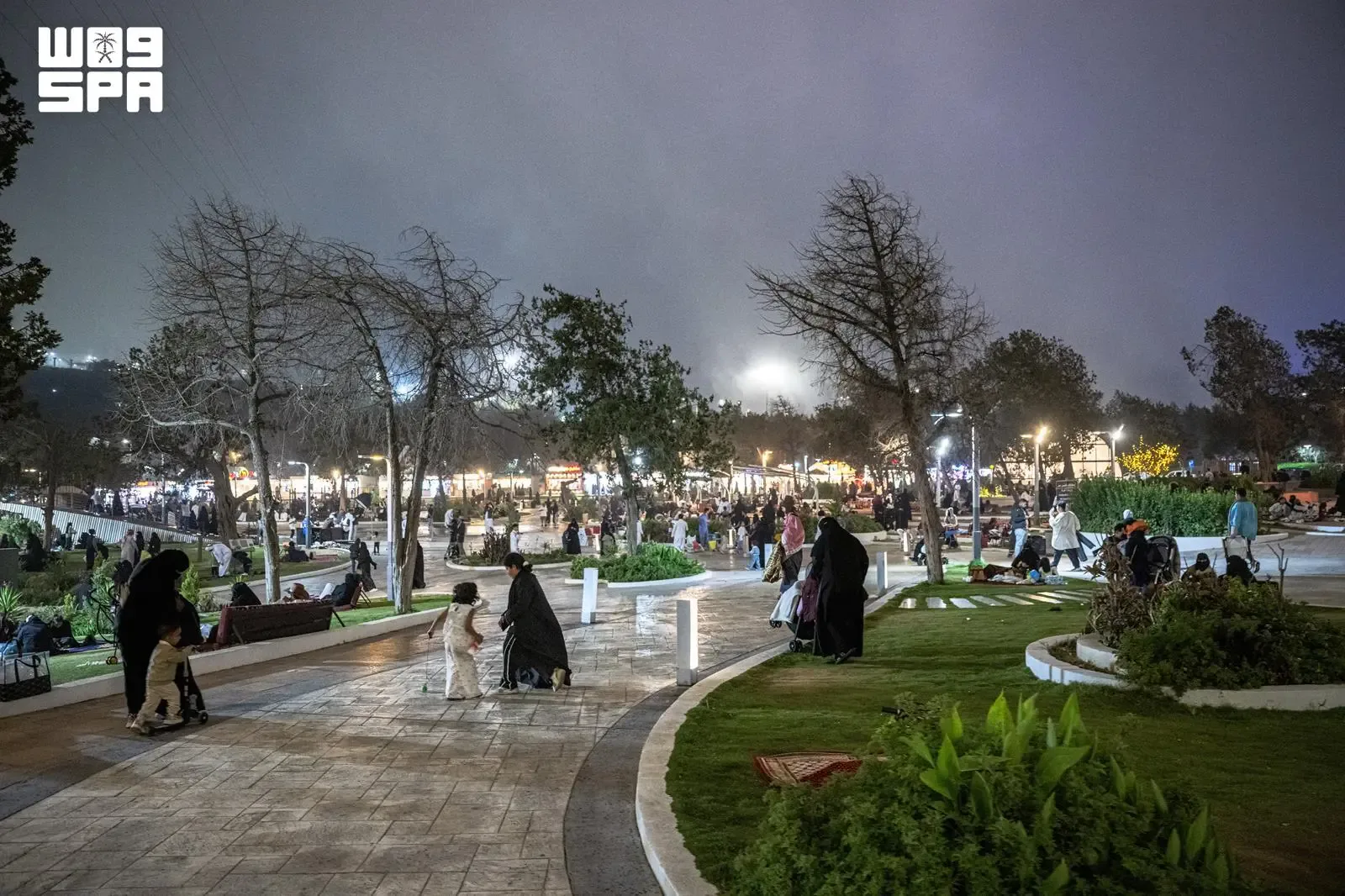 صورة من الألبوم