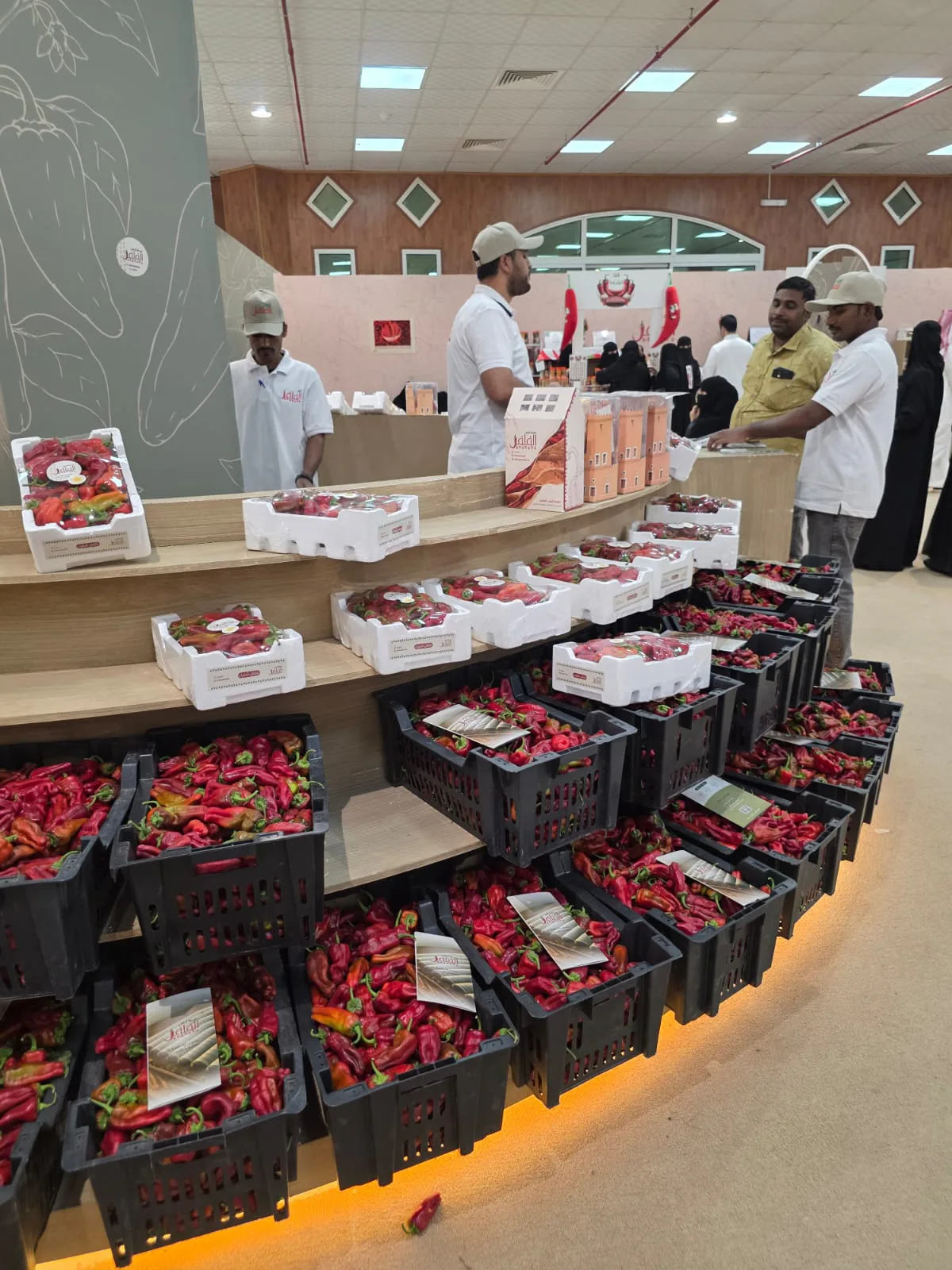 صورة من الألبوم