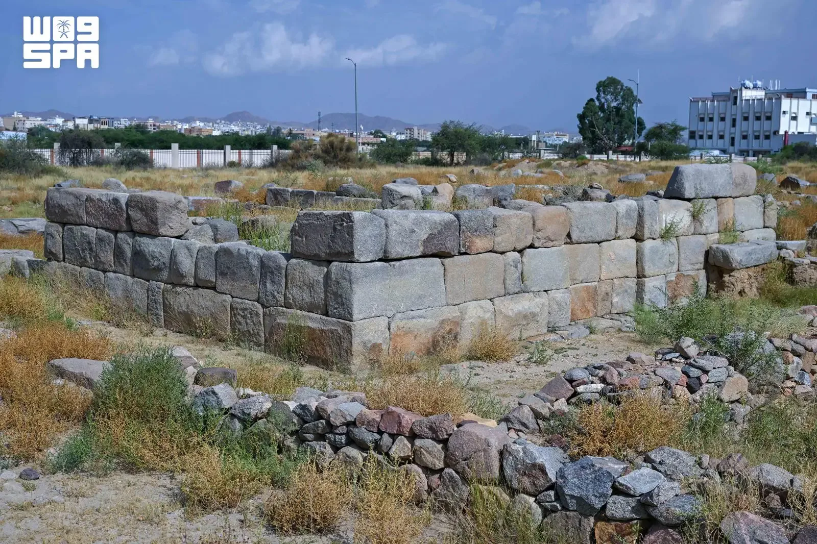 صورة من الألبوم