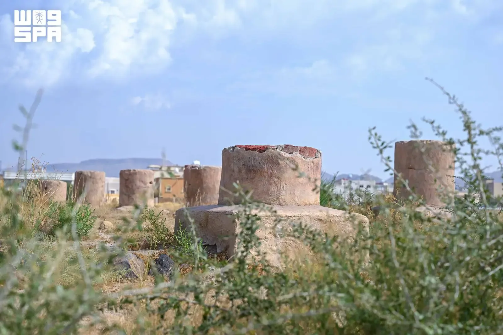 صورة من الألبوم