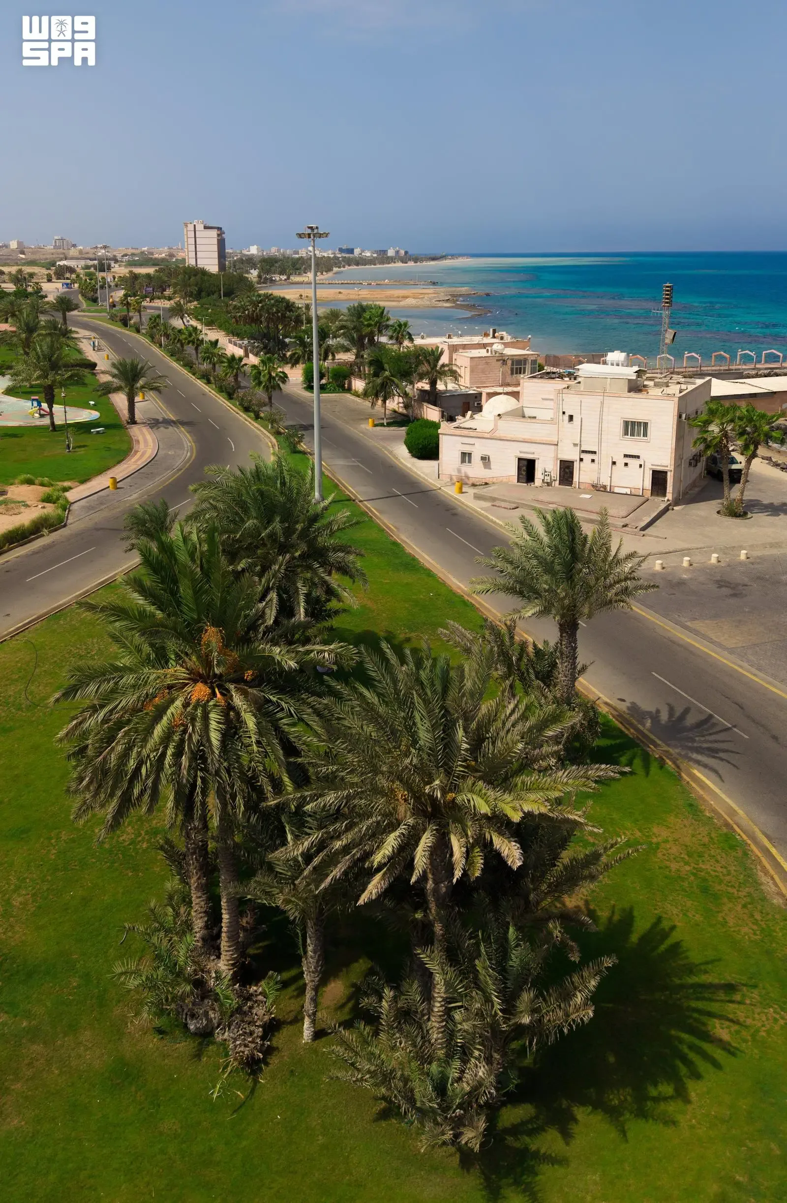 صورة من الألبوم