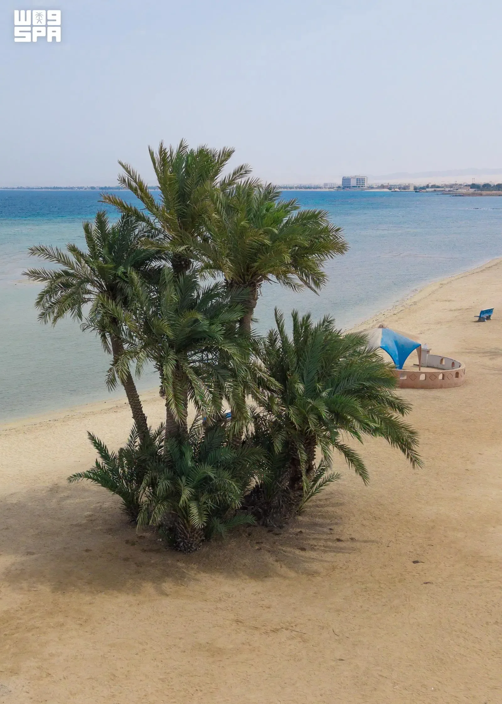 صورة من الألبوم