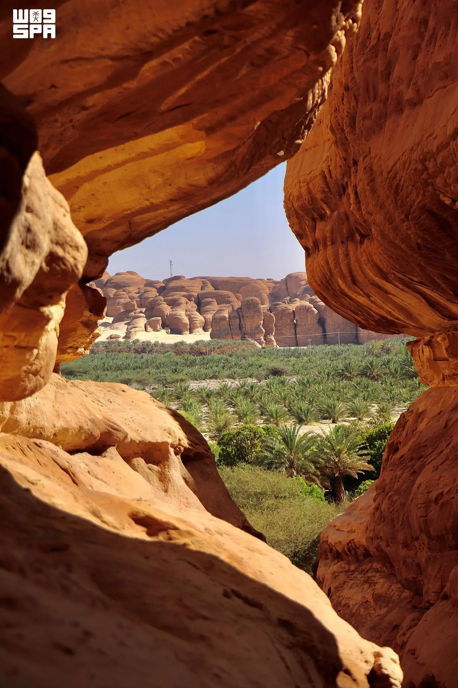 صورة من الألبوم