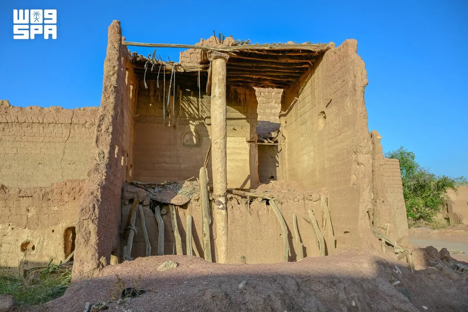 صورة من الألبوم
