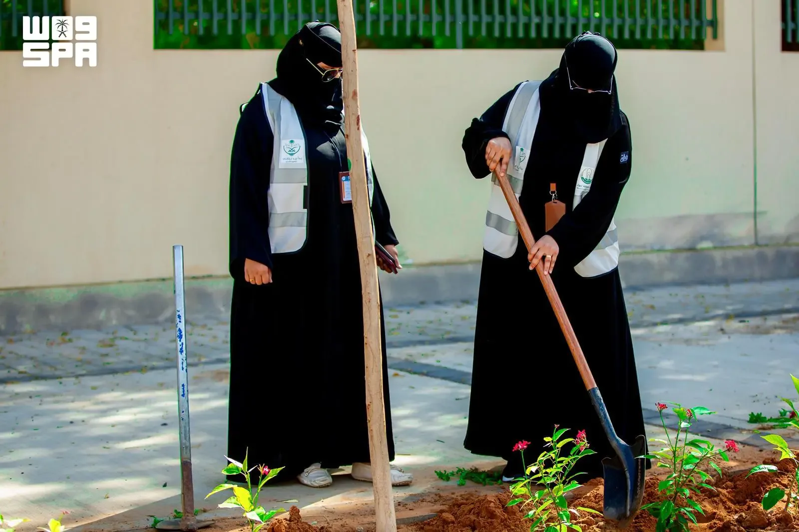 صورة من الألبوم