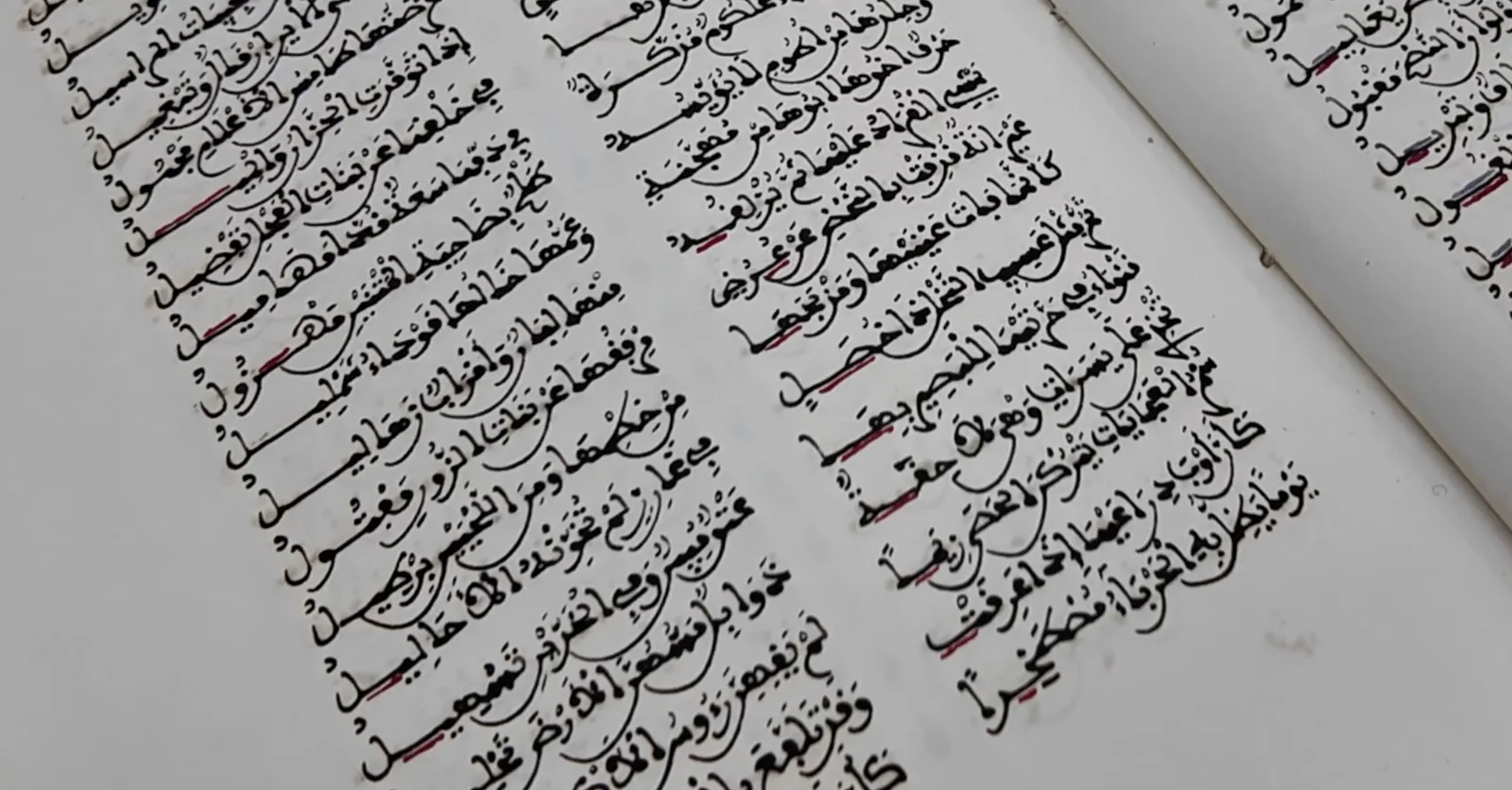 صورة من الألبوم