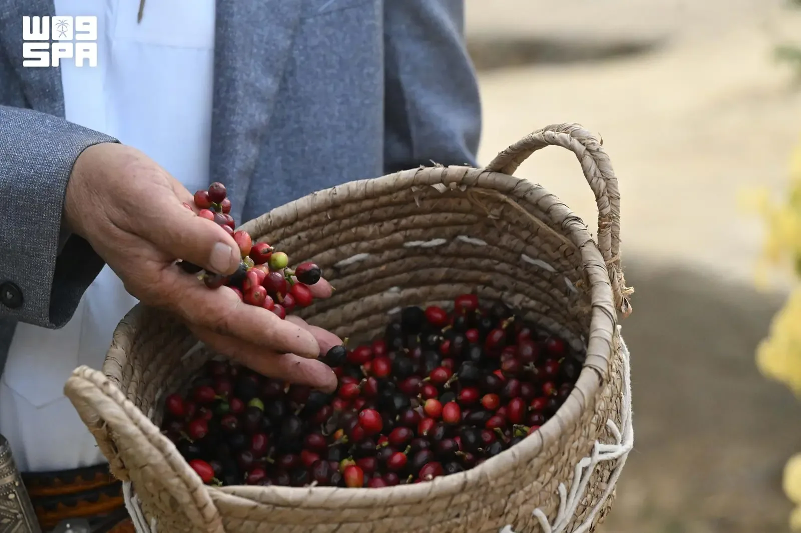 صورة من الألبوم