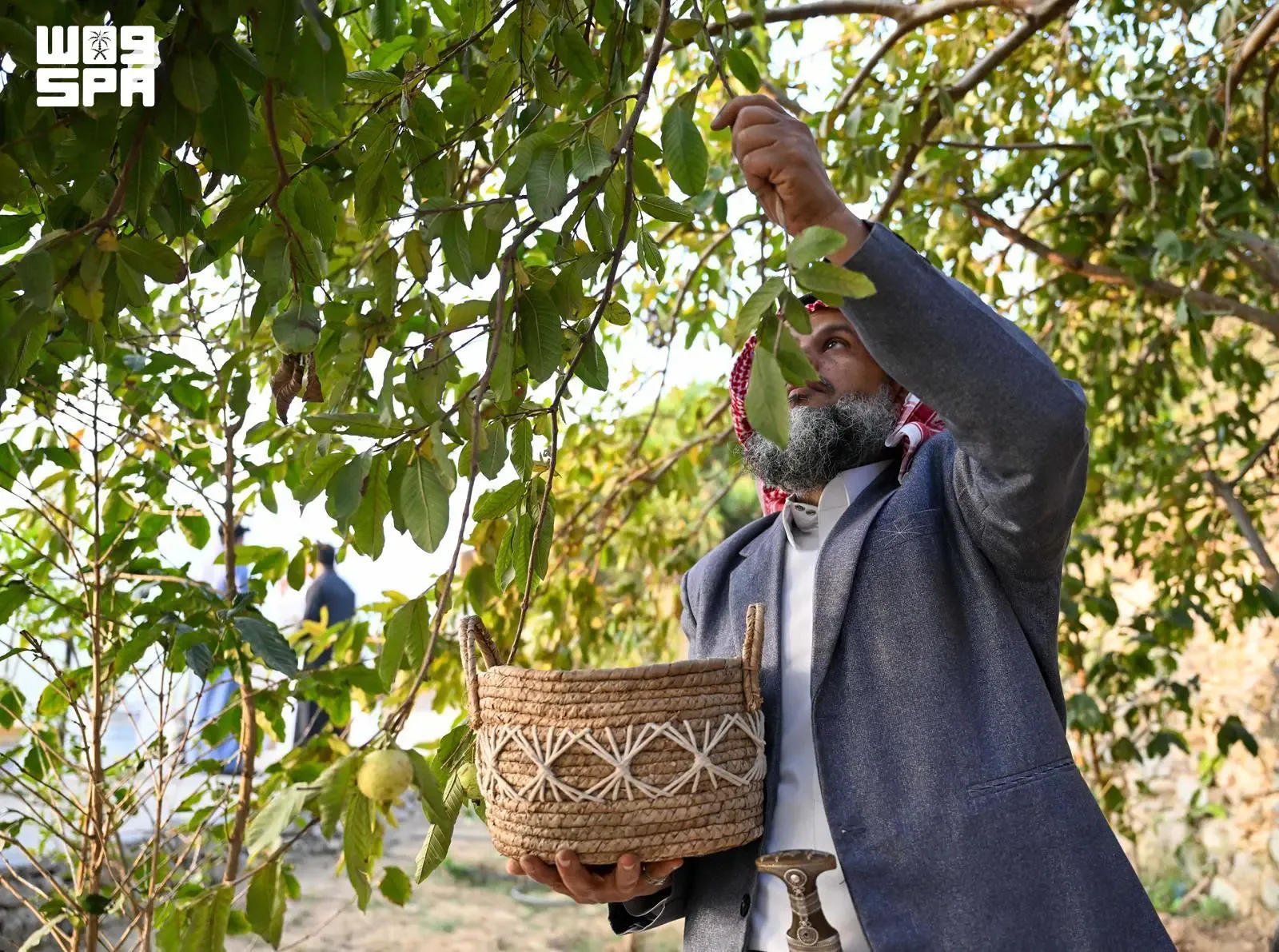 صورة من الألبوم
