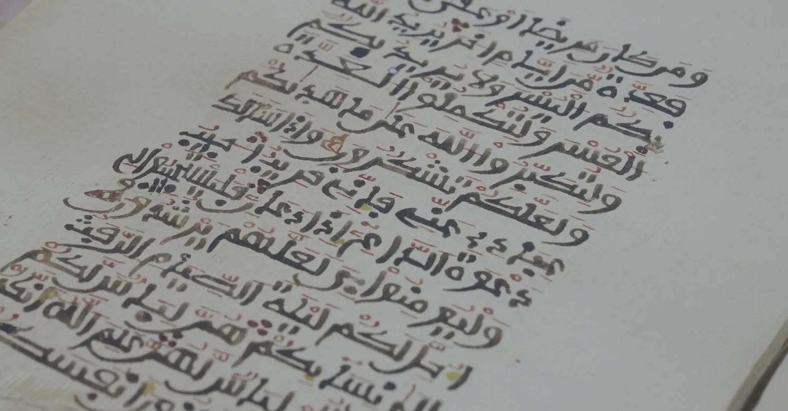 صورة من الألبوم