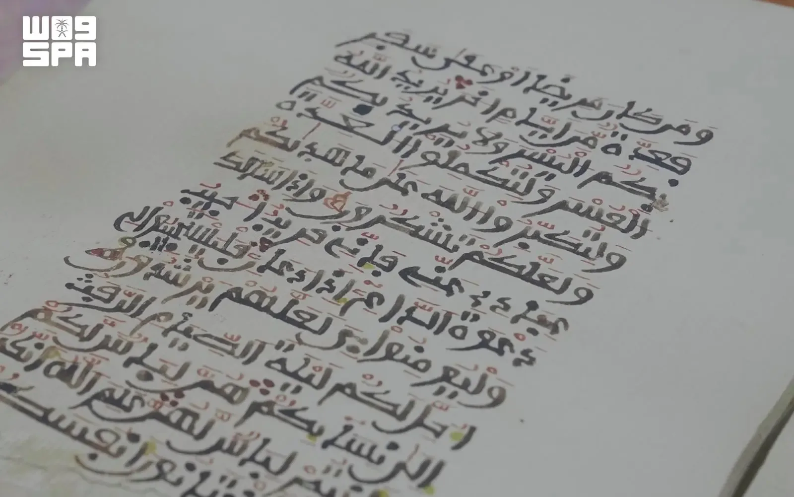 صورة من الألبوم