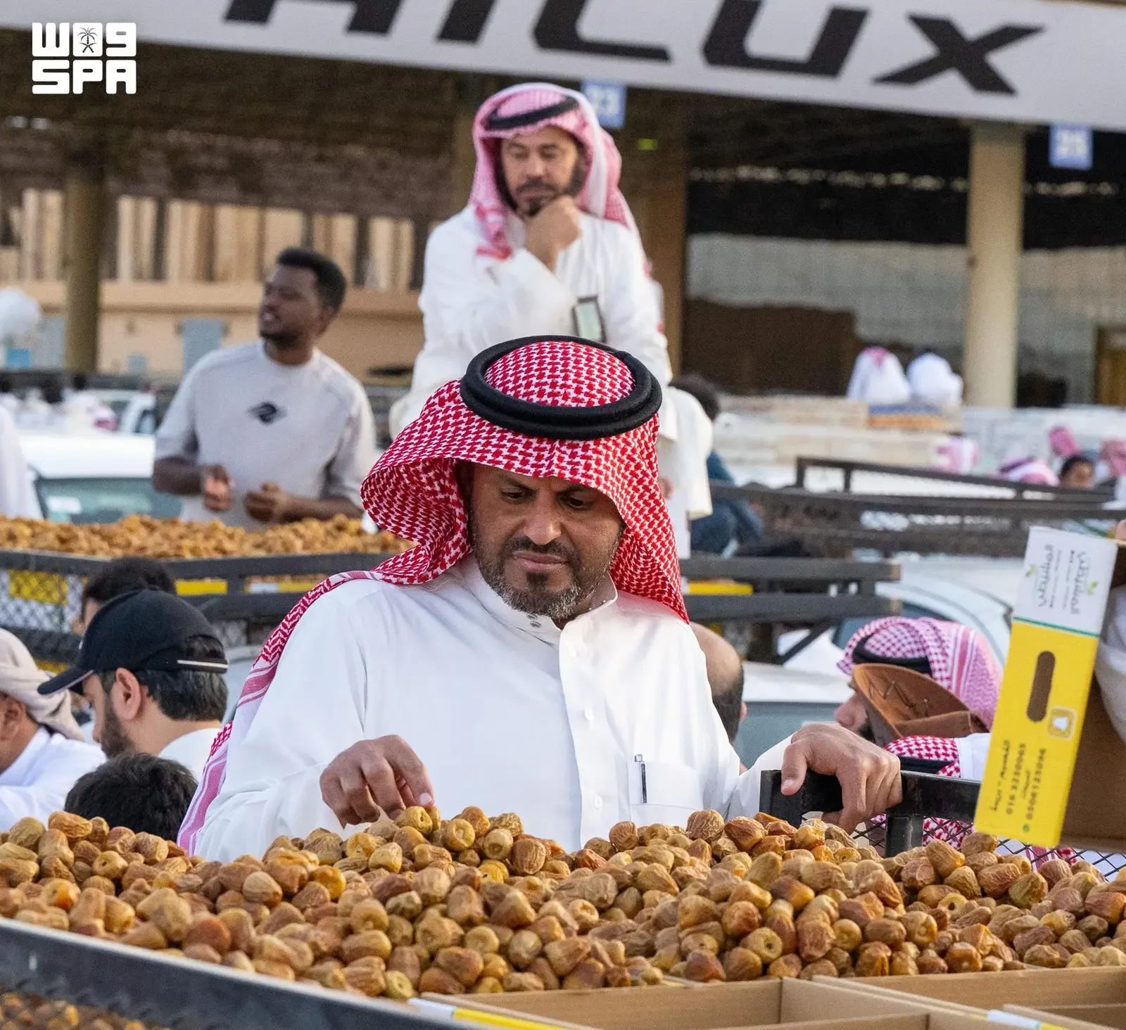 صورة من الألبوم