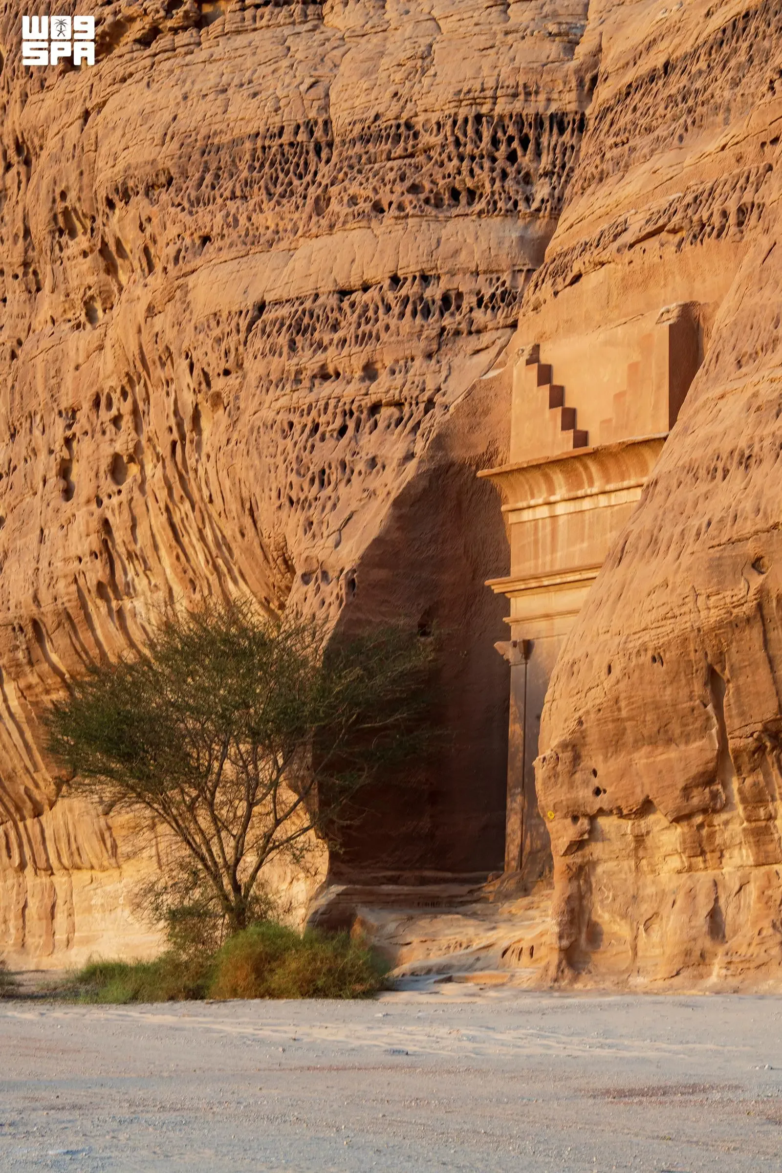 صورة من الألبوم