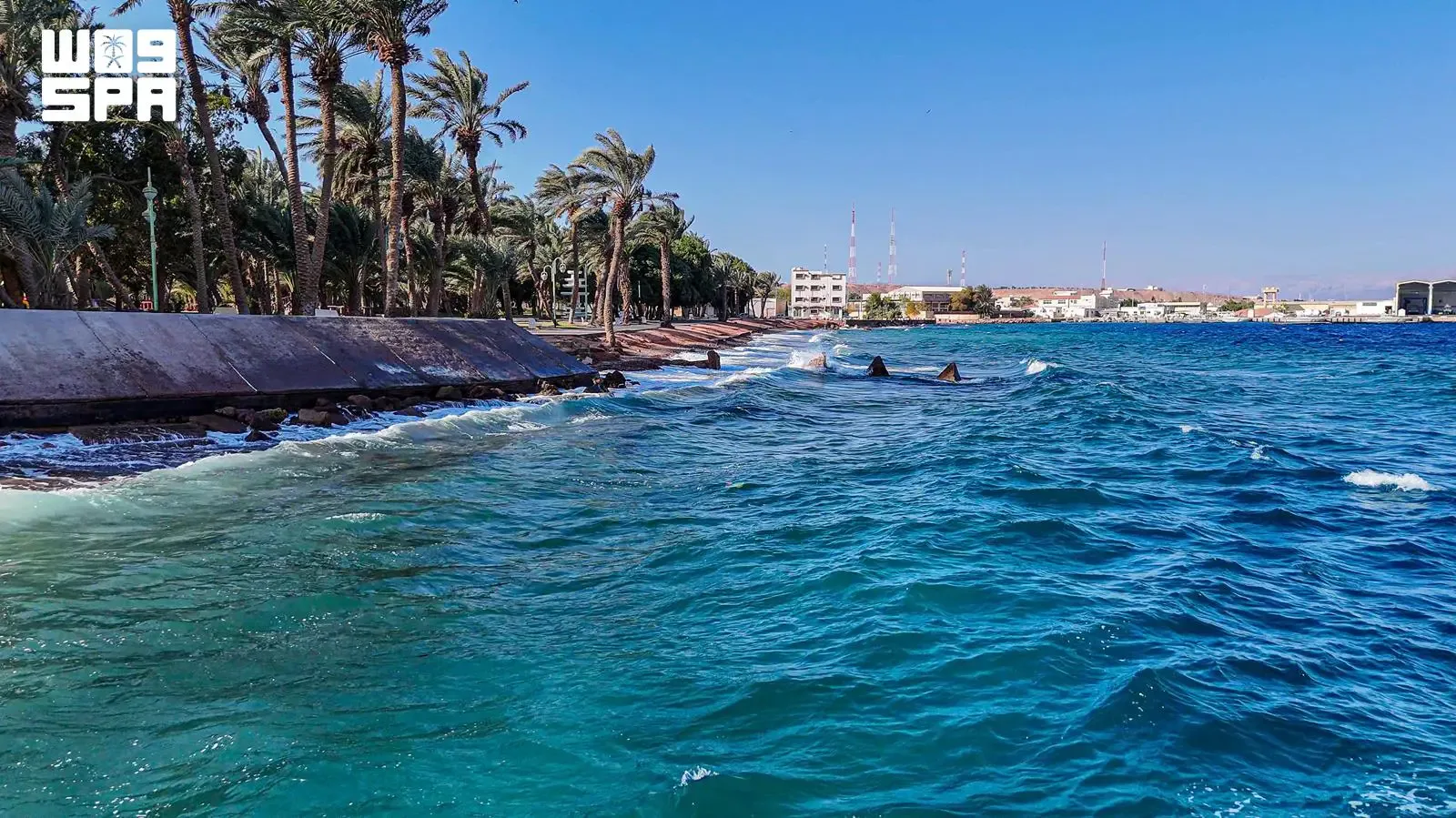 صورة من الألبوم