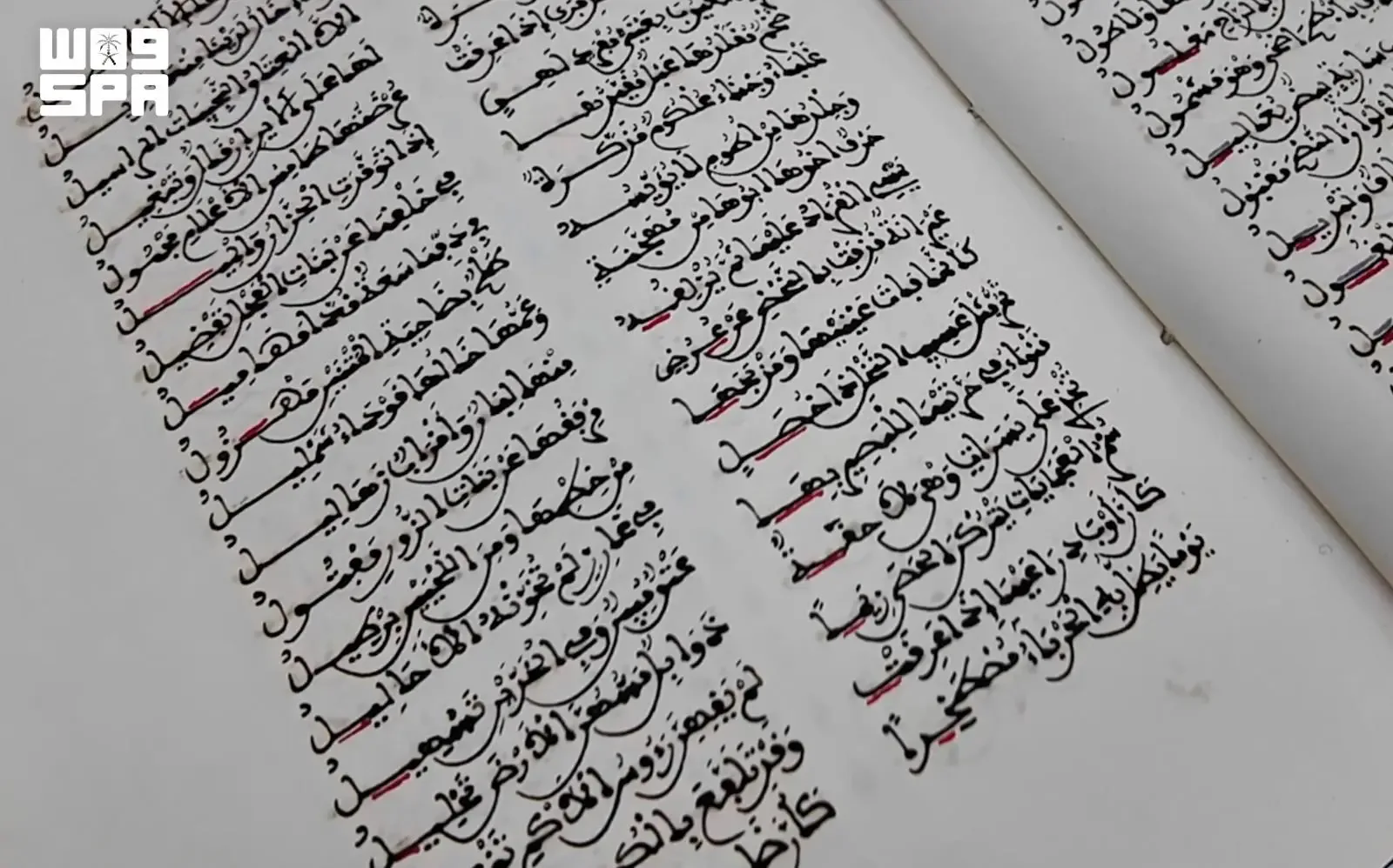 صورة من الألبوم