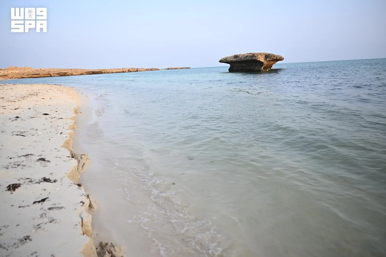 صورة من الألبوم