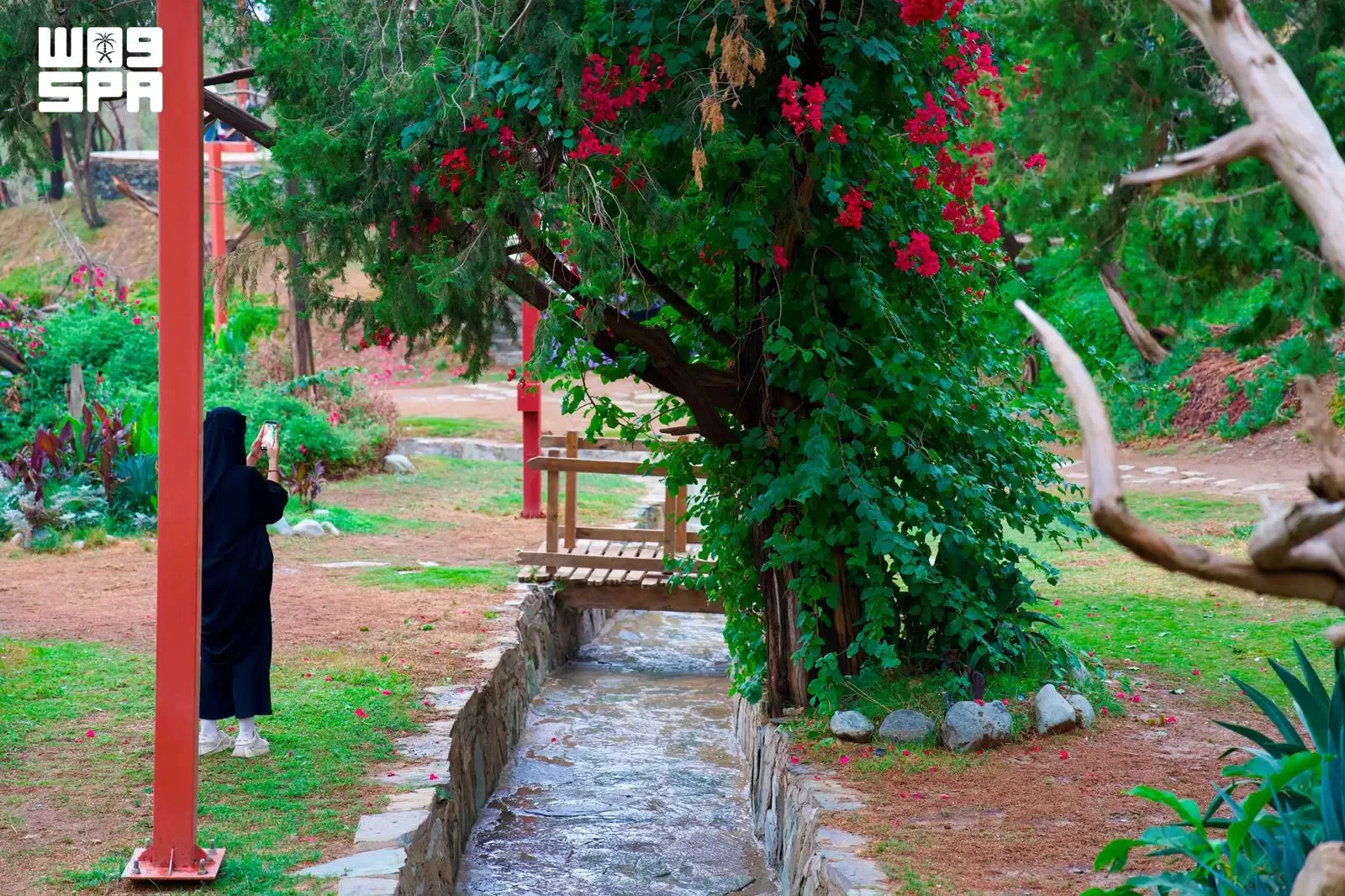 صورة من الألبوم