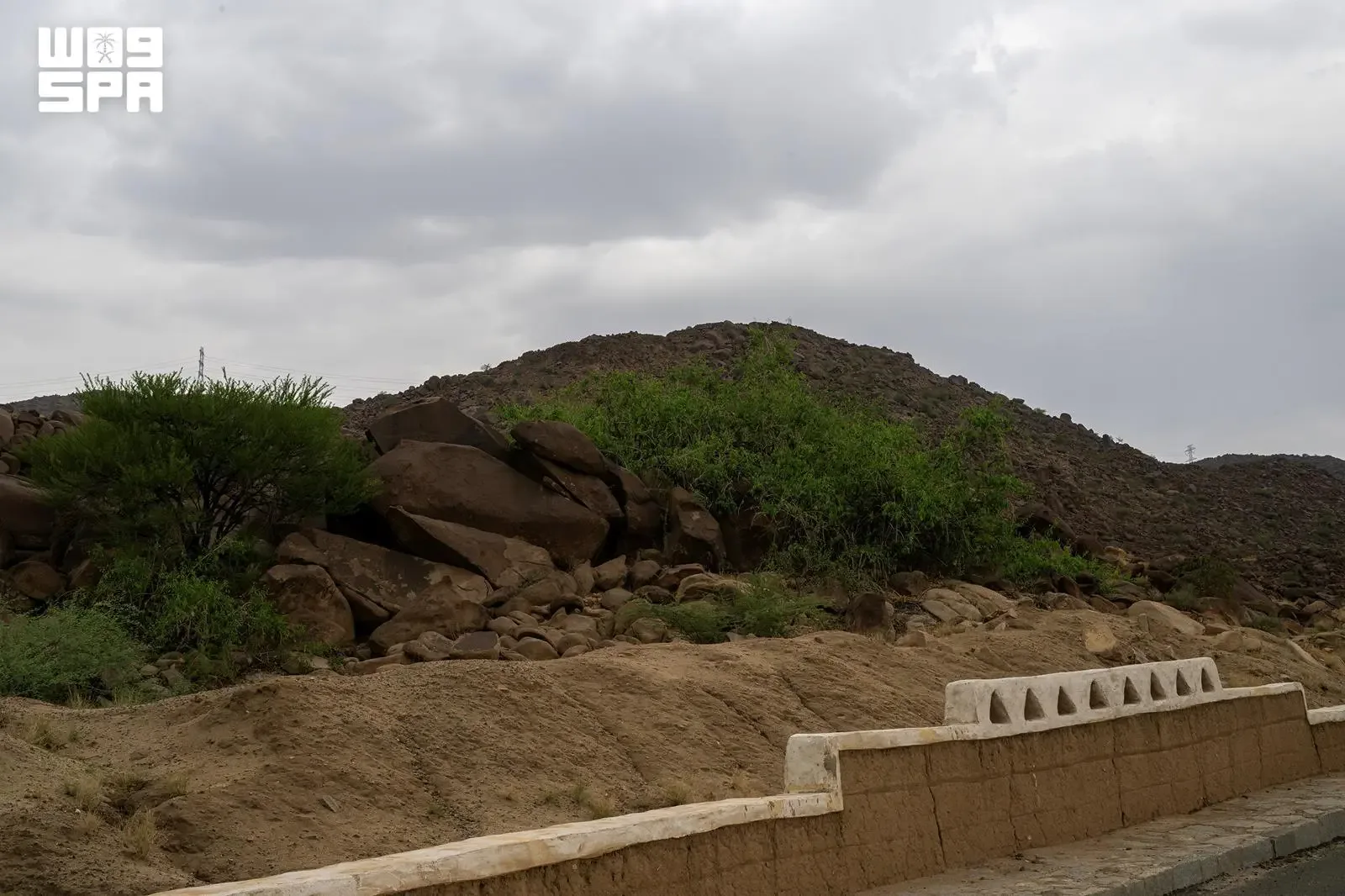 صورة من الألبوم