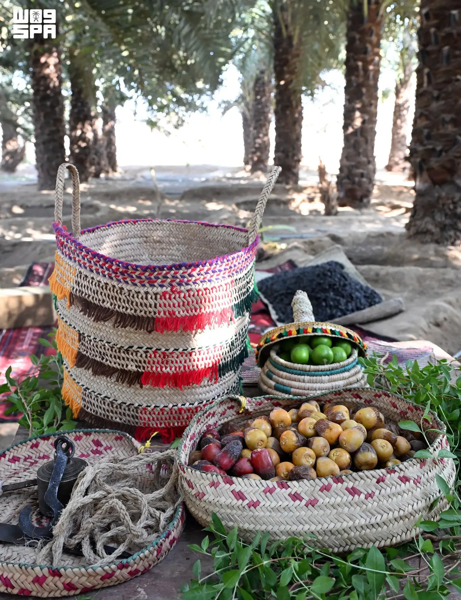 صورة من الألبوم
