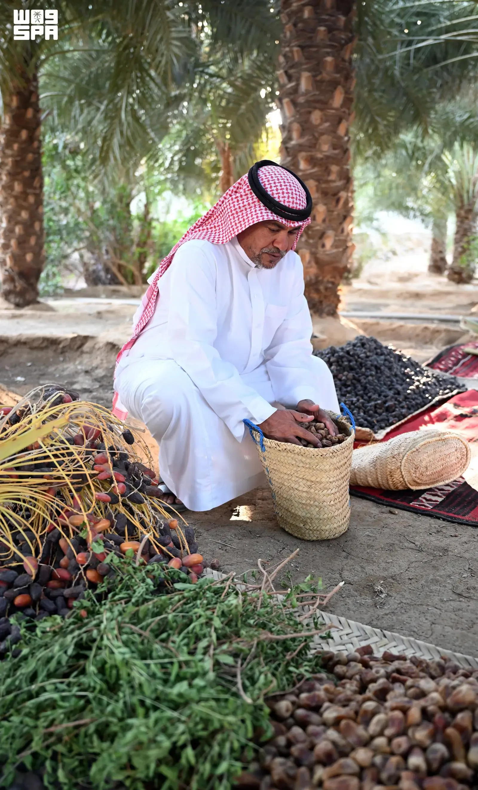 صورة من الألبوم