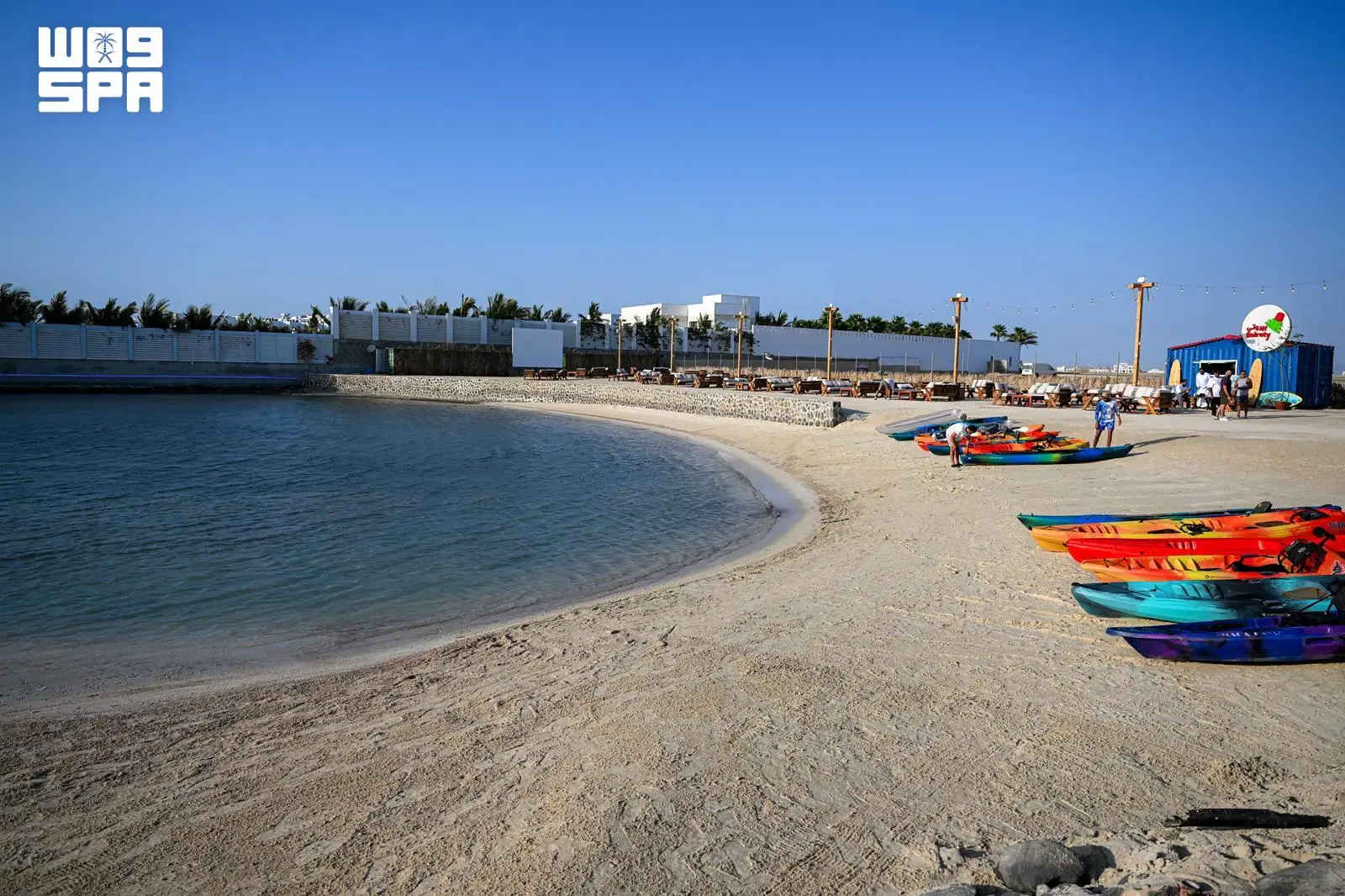 صورة من الألبوم