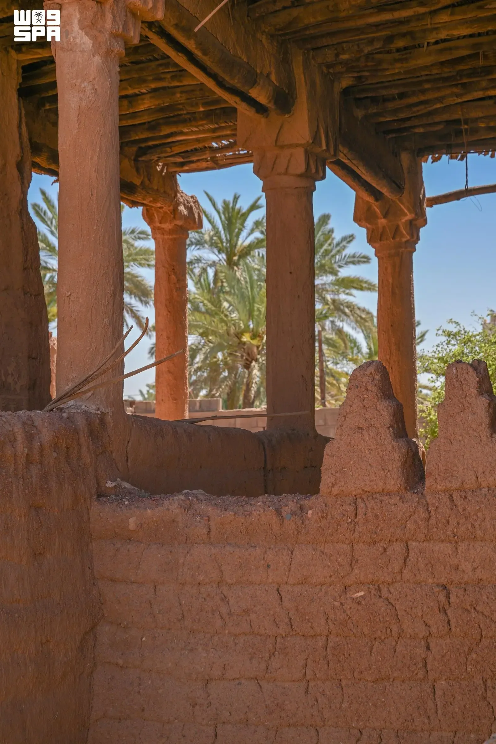 صورة من الألبوم
