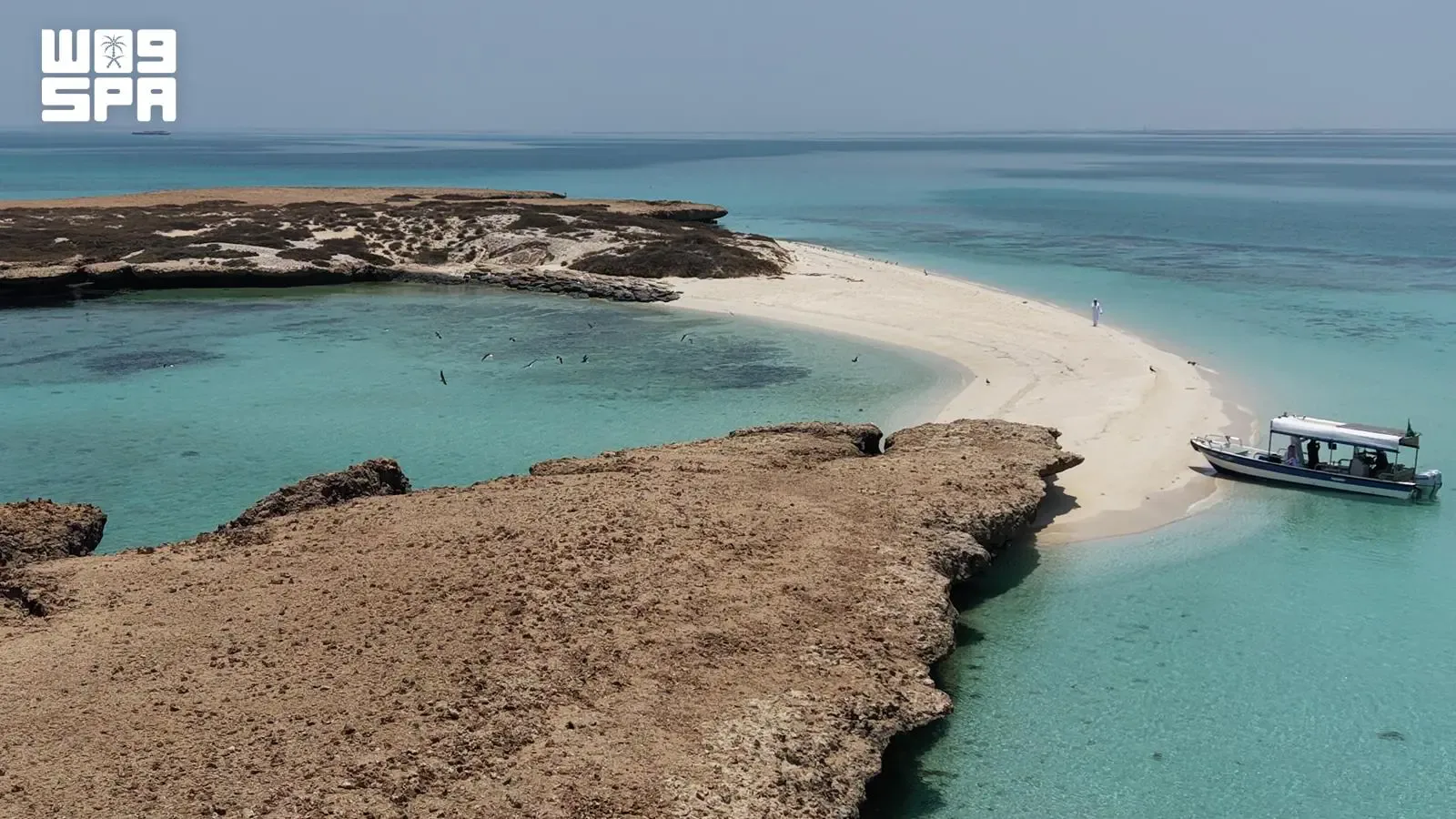 صورة من الألبوم