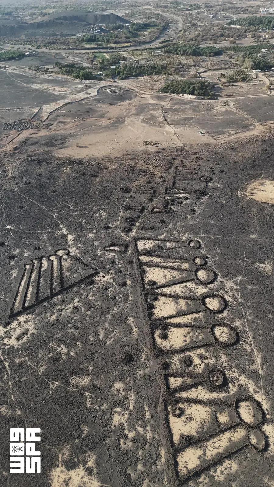 صورة من الألبوم