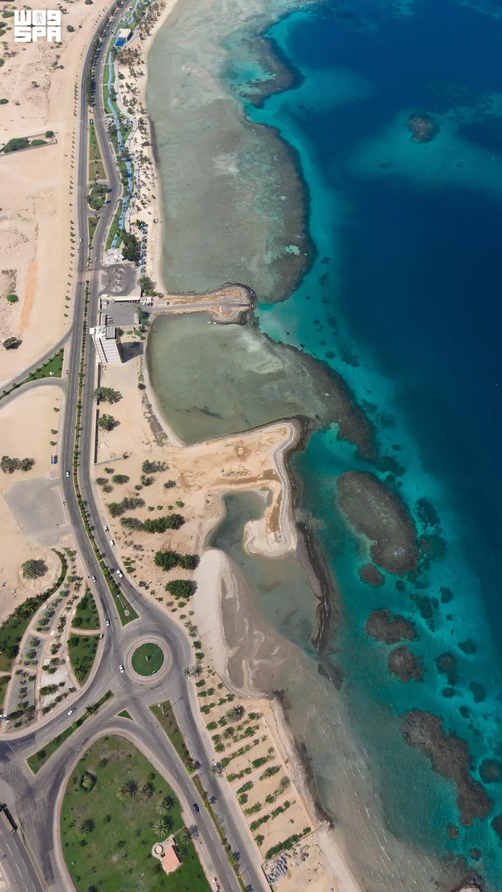 صورة من الألبوم
