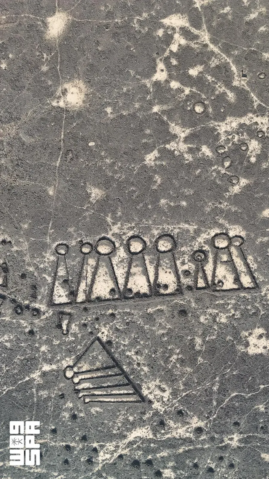 صورة من الألبوم