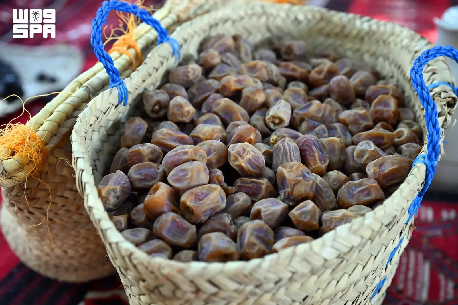 صورة من الألبوم