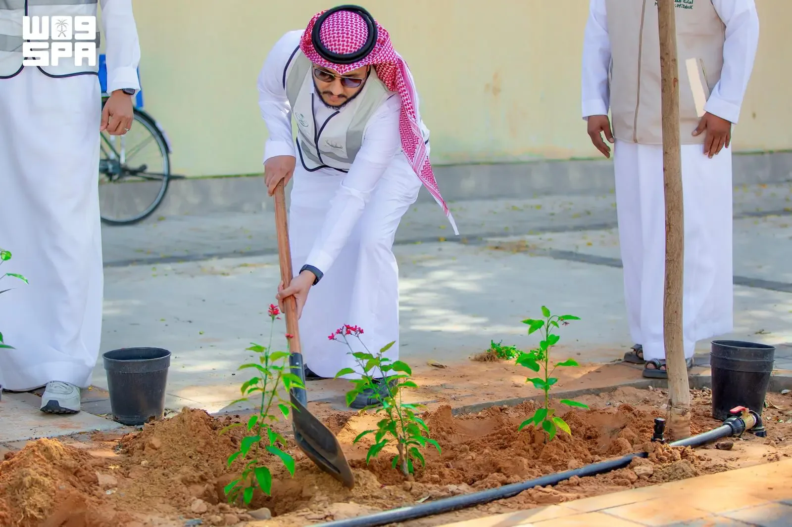 صورة من الألبوم
