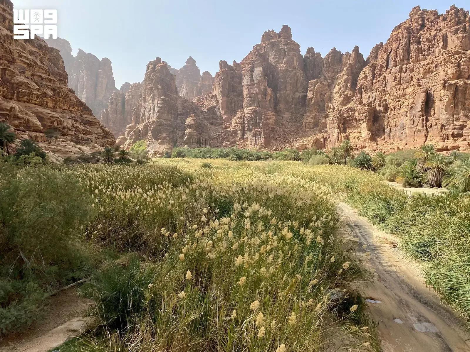 صورة من الألبوم